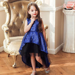 Elegant Girls Princess Dress For Baby Girls Wedding And Birthday Party Formal Dresses 2 -10 Years Old Girls Princess Tutu Dress