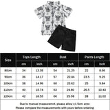 2pcs Lapel Short Sleeve+Shorts Summer Short Sleeve T Shirt Shorts Printed Fashion Casual Outfits for Toddler Baby Boys